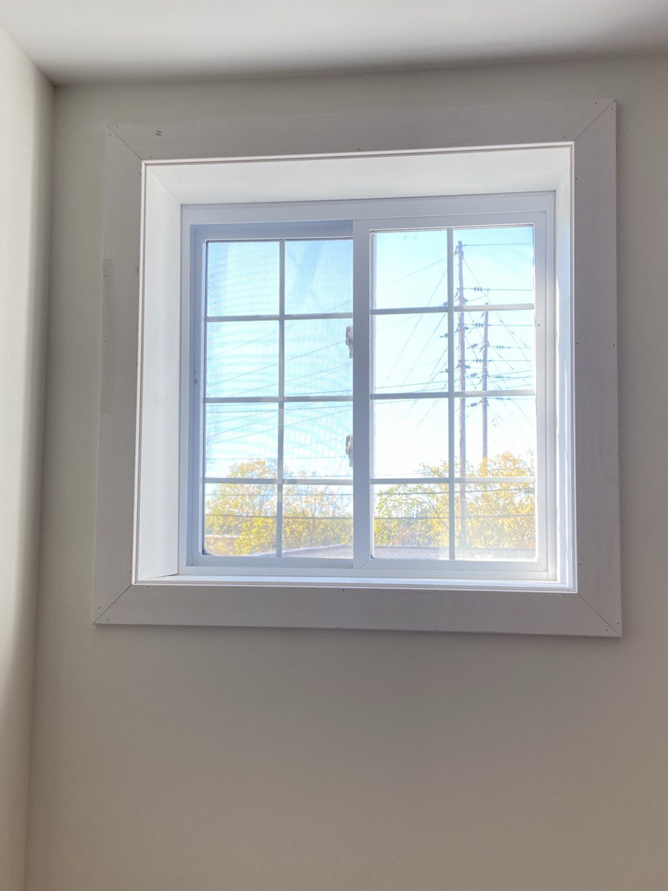 Replacement Windows & Trim